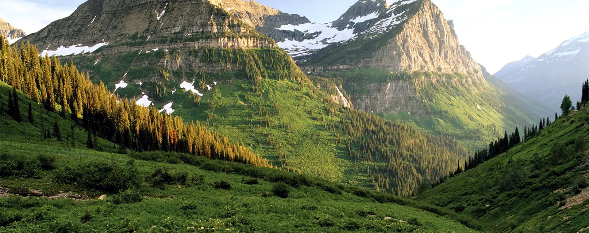 Green mountain valley in Western Montana